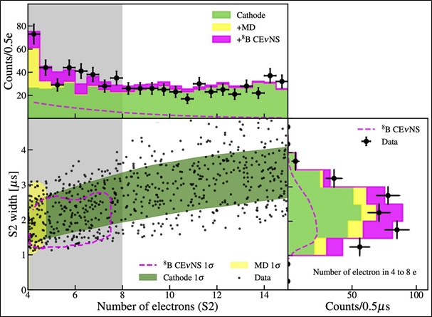 中微子—原子核相互作用首获观测