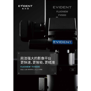 激光扫描共聚焦显微镜