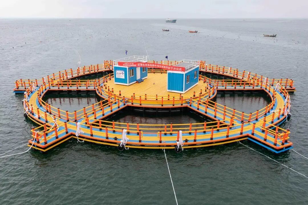 国内规模最大近海生态系统野外受控试验平台下水投用